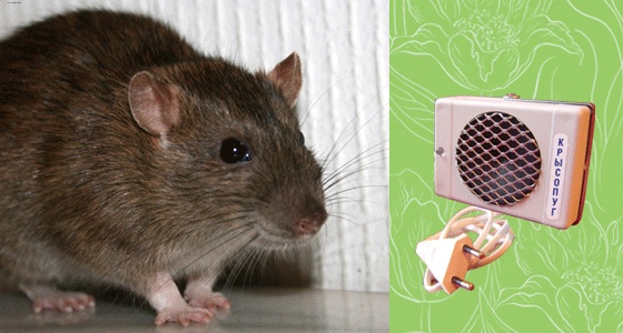 Ультразвуковые Отпугиватели От Мышей И Крыс Купить