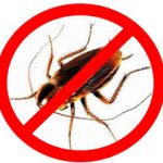 Эффективное средство от тараканов – препарат Регент